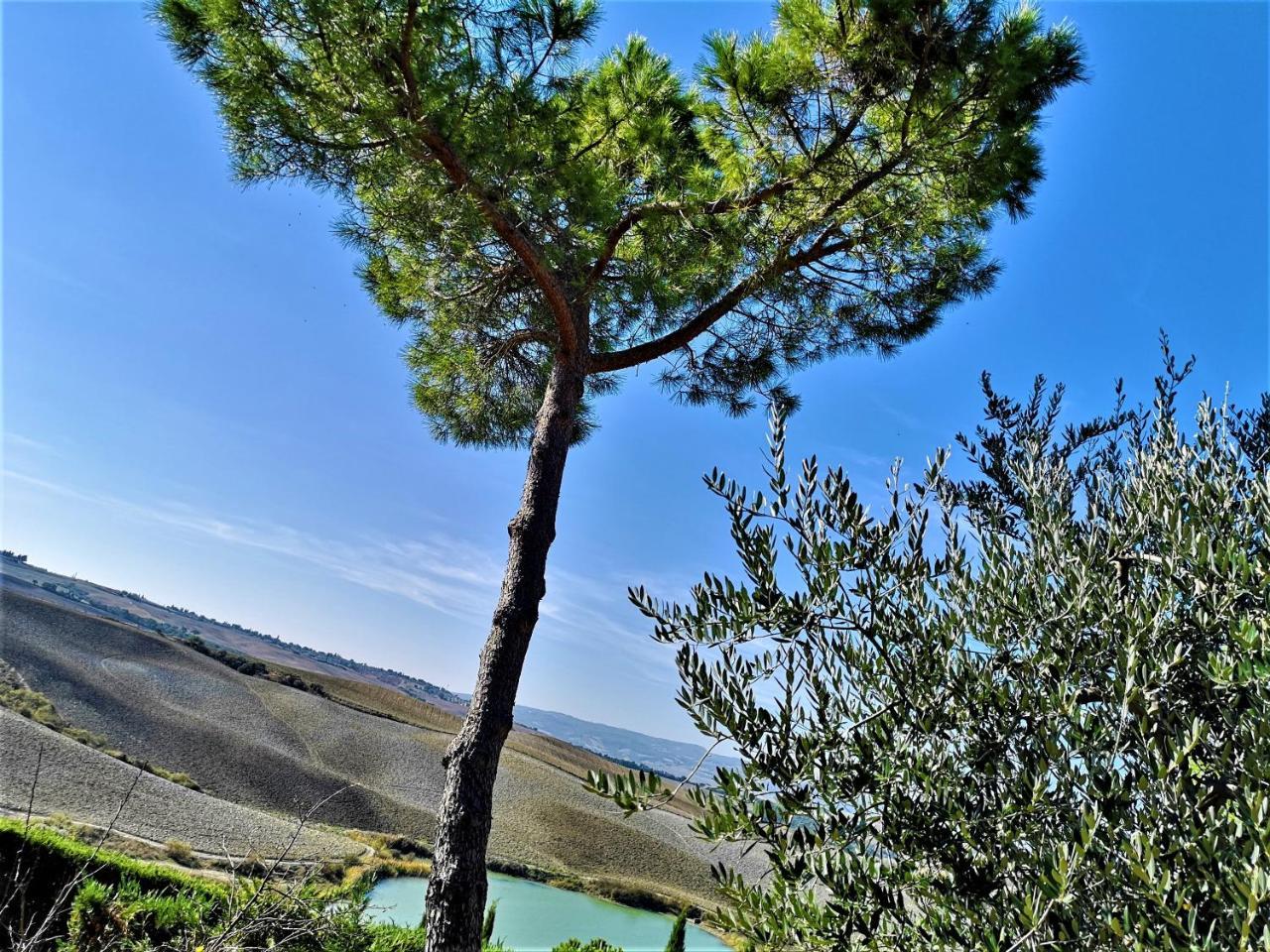 Agriturismo Palazzo Conti - B Пиенца Экстерьер фото
